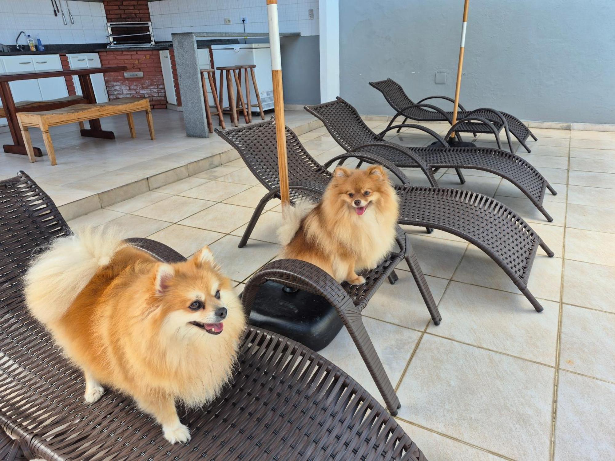 Casa No Guaruja Com Piscina Holiday home *